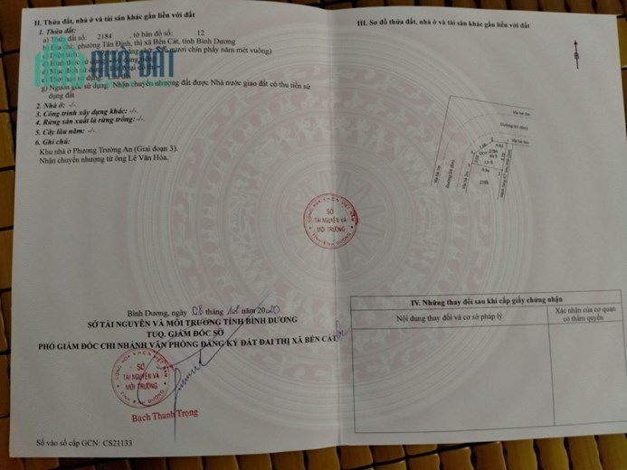 CHÍNH CHỦ CẦN BÁN ĐẤT LÔ GÓC DỰ ÁN PHƯƠNG TRƯỜNG AN, BẾN CÁT
