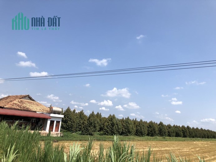 BÁN GẤP LÔ ĐẤT ĐẸP GẦN ĐƯỜNG NHỰA CHỈ 360tr TẠI TÂY NINH