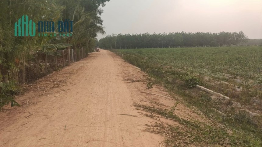 Chính chủ cần bán đất tại ấp Long Châu, Xã Long Vĩnh, Huyện Châu Thành, Tây Ninh