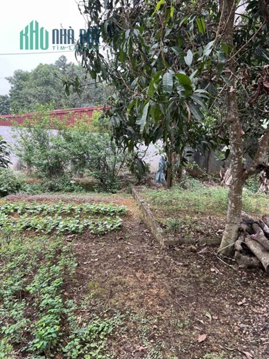Bán đất QL 21A, Thj Trấn Ba Sao Kim Bảng Cạnh dự án Flamingo Giá 65tr/m2