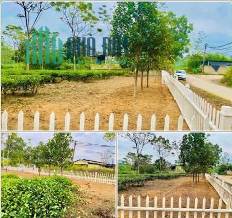 ⭐️Bán đất vị trí đẹp tại Mỹ Bằng, Yên Sơn, Tuyên Quang, 0866899686
