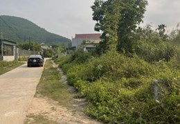 Đất nền Vân Đồn diện tích rộng 2033m2, gần sân bay, giá rẻ để đầu tư sinh lời