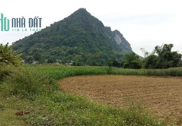 Chính chủ cần chuyển nhượng ô đất cạnh UBND xã Tân Trào, Tuyên Quang. Đã có quyền sở hữu đất đai.