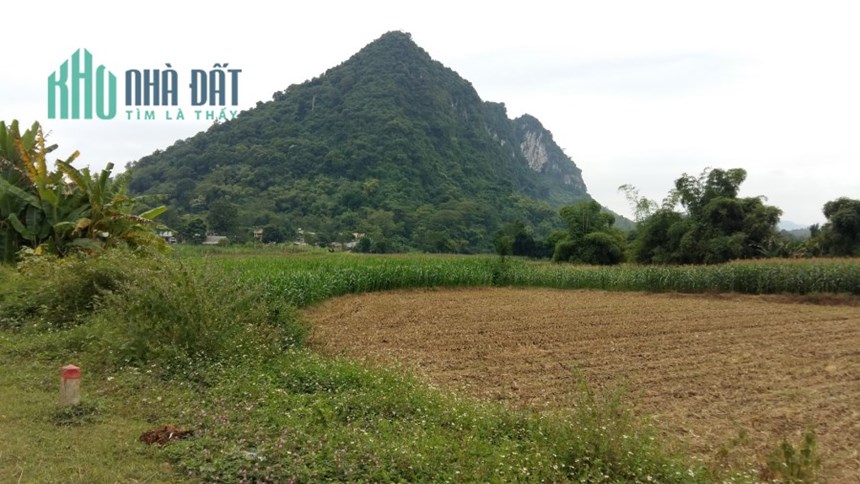 Chính chủ cần chuyển nhượng ô đất cạnh UBND xã Tân Trào, Tuyên Quang. Đã có quyền sở hữu đất đai.