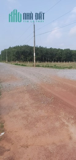 Sở Hữu Ngay Lô Đất Đẹp Vị Trí Đắc Địa Tại Phường Chánh Phú Hòa, Thị Xã Bến Cát, Bình Dương