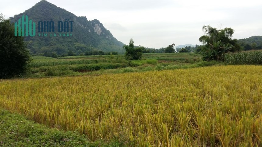 Bán đất mặt đường chính cách UBND xã Tân Trào, Tuyên Quang 100m dẫn vào khu di tích. Giá 35 tr/m2