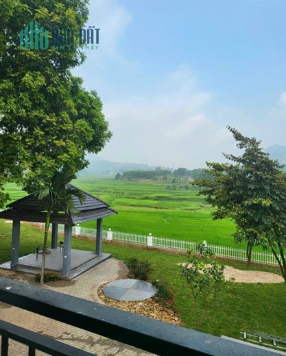 Bán Nghỉ Dưỡng Lương Sơn, Hòa Bình Sẵn Khuôn Viên 4300m2 Giá Nhỉnh 10 tỷ
