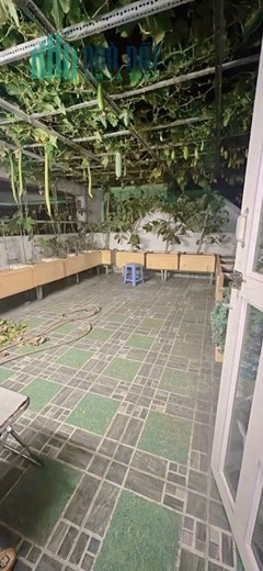 NHÀ ĐẸP GIÁ RẺ NHẤT THỊ TRƯỜNG - 4 TẦNG - CÓ VƯỜN RAU SANH MƯỚT - XE HƠI NGỦ TRONG NHÀ