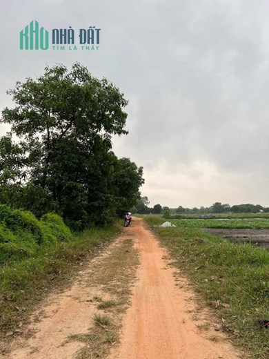 CƠ HỘI SỞ HỨU ĐẤT VƯỜN TP TRUNG UONG TUONG LAI, ĐÂT GÂN BIỂN GIA SIEU RE