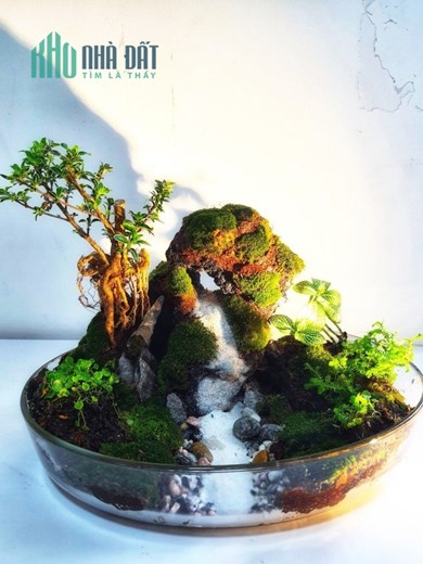 Tiểu cảnh nước chảy phong thủy Bonsai Nghệ Thuật Ấn Tượng đến từ sự kết hợp Nghệ thuật Bonsai và