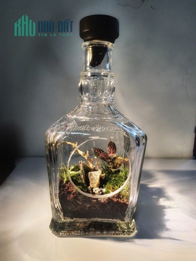 Tiểu cảnh nước chảy phong thủy Bonsai Nghệ Thuật Ấn Tượng đến từ sự kết hợp Nghệ thuật Bonsai và