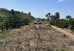 Sở Hữu Ngay Lô Đất Đẹp Vị Trí Đắc Địa Tại Cầu Tân Văn Cận Trung Tâm Lâm Hà, Lâm Đồng