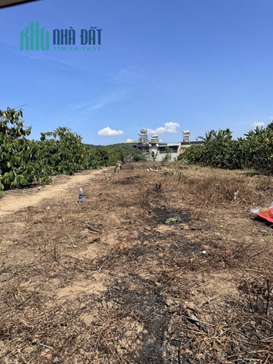 Sở Hữu Ngay Lô Đất Đẹp Vị Trí Đắc Địa Tại Cầu Tân Văn Cận Trung Tâm Lâm Hà, Lâm Đồng