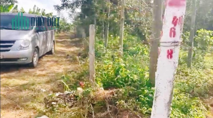 Bán lô Đất xây biệt thự vườn 10x60m ở Buôn Hồ đường ô tô-sinh lời tốt và thanh khoản nhanh