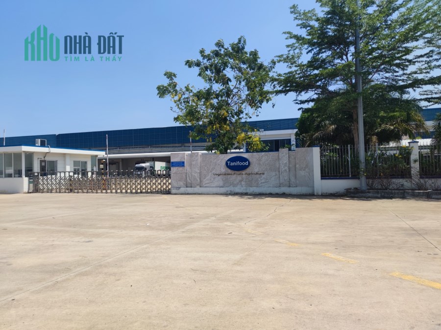Sở hữu ngay đất vườn trồng cây ăn trái, ngắm cảnh núi rừng tại Tây Ninh!