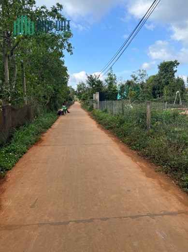 CHÍNH CHỦ CẦN BÁN GẤP ĐẤT KM19, QL26, ĐĂK LĂK