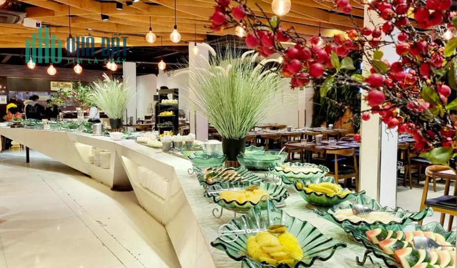 Bán nhà mặt phố Tông Đản, Hoàn Kiếm, Building cho tập đoàn lớn, 750m2, MT 21m, 490 tỷ
