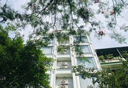 Khách sạn apartment hạng sang, Cầu Giấy, dòng tiền 250 triệu/ tháng, 70m2 x8T, 29 tỷ