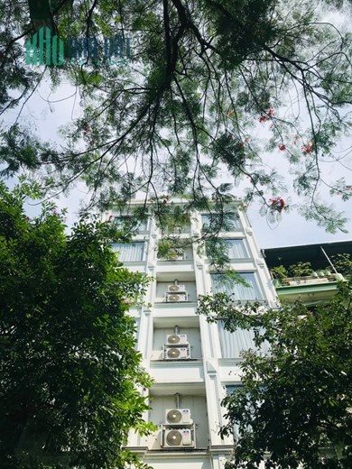 Khách sạn apartment hạng sang, Cầu Giấy, dòng tiền 250 triệu/ tháng, 70m2 x8T, 29 tỷ