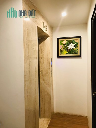 Khách sạn apartment hạng sang, Cầu Giấy, dòng tiền 250 triệu/ tháng, 70m2 x8T, 29 tỷ