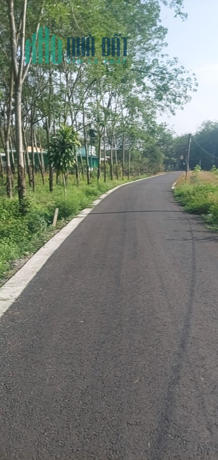 Bán đất thổ cư DT 749A, Long Tân, Dầu Tiếng: 5 x 65=327m, giá 860 triệu