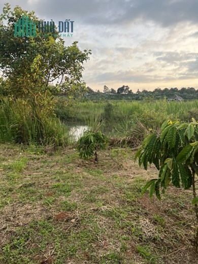 Bán đất QL 20 - Hòa Bắc, Di Linh, Lâm Đồng: 3.389m2, giá 1,28 tỷ