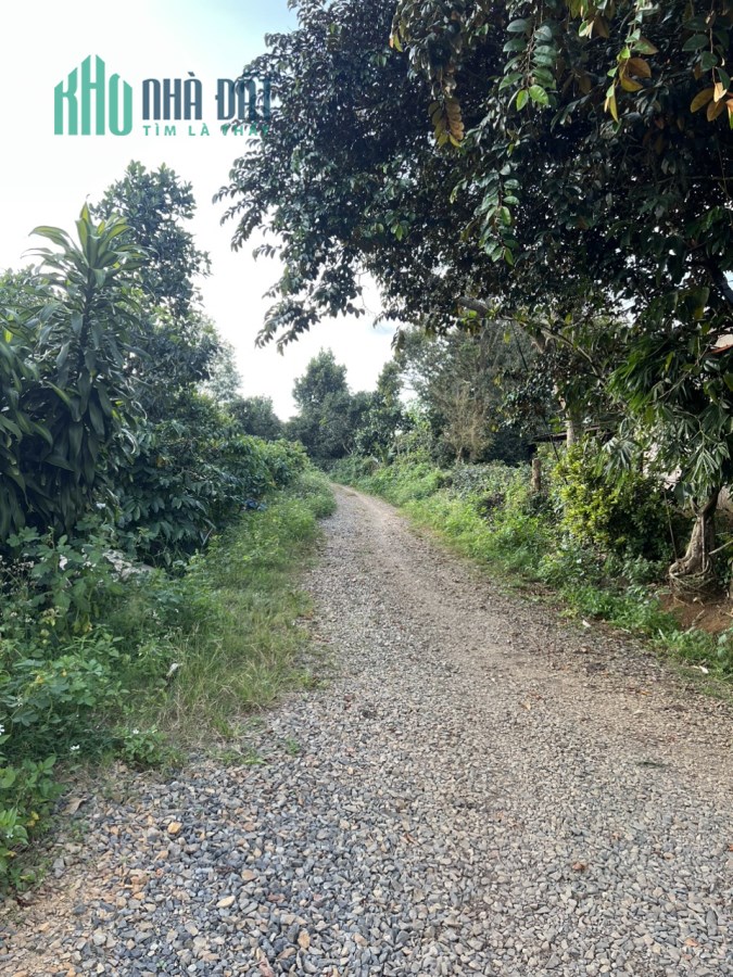 Bán đất QL 20 - Hòa Bắc, Di Linh, Lâm Đồng: 3.389m2, giá 1,28 tỷ