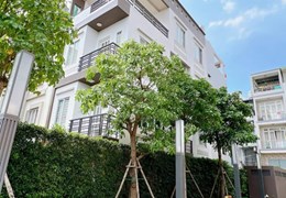 Mặt tiền 40m2 Đường số Vĩnh Hội, Quận 4 giá 10.99 tỷ