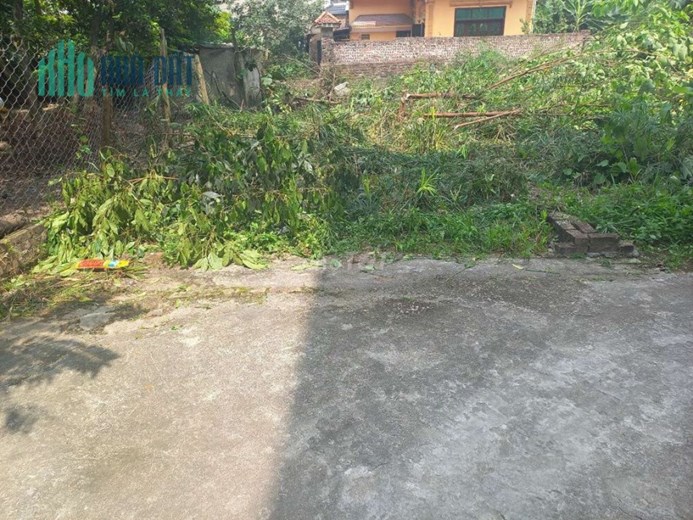 Chính chủ cần bán đất tại Quang Minh, Mê Linh