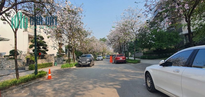 SIÊU PHẨM BIỆT THỰ - ĐẲNG CẤP NHẤT CIPUTRA - THANG MÁY HIỆN ĐẠI - VEW SÔNG VÀ SÂN GOLF.