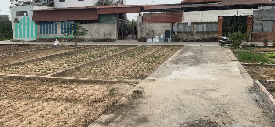 VỚI 1 TỶ NHẬP KHẨU TỔ 9 - TT QUANG MINH - MÊ LINH, QUY HOẠCH NGẬP TRÀN