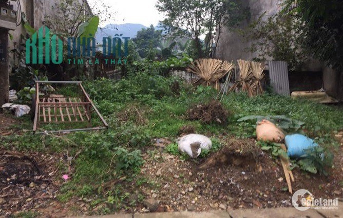 Tôi cần tiền bán mảnh đất trên Tuyên Quang. Kinh doanh được. giá chỉ 25 tr/m2. Cách cây xăng QL2C