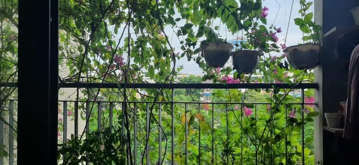 CĂN HỘ CHUNG CƯ  CAO CẤP ,GREENPARK KĐT VIỆT HƯNG QUẬN LONG BIÊN 
 TIỆN ÍCH ĐỦ ĐẦY ,KHÔNG GIAN