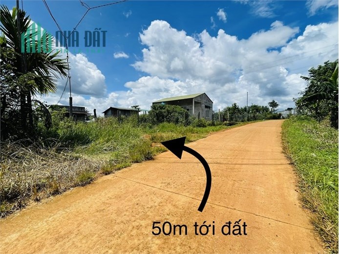 ĐẤT ĐẦU TƯ LÂU DÀI, LỢI NHUẬN X2X3 SO  VỚI GIÁ HIỆN TẠI, SHR.