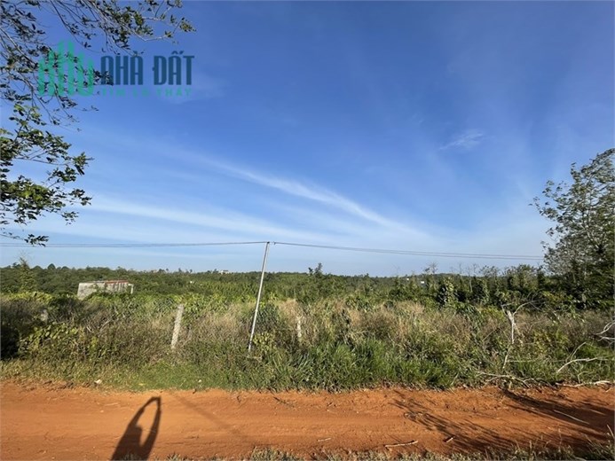 ĐẤT ĐẦU TƯ LÂU DÀI, LỢI NHUẬN X2X3 SO  VỚI GIÁ HIỆN TẠI, SHR.
