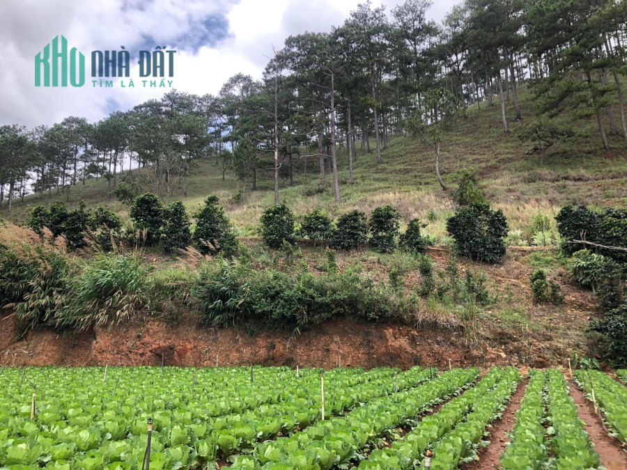 Bán gấp lô Đất view đẹp Xuân Thành, Xuân Thọ 1400m2 giá 2.7 tỷ