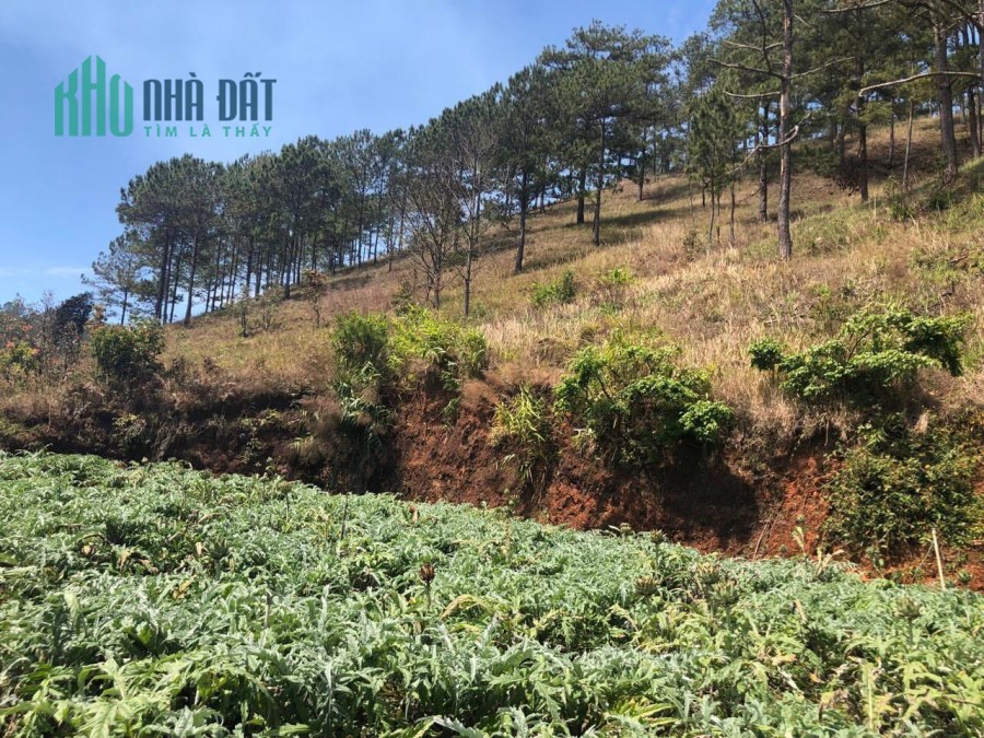 Bán gấp lô Đất view đẹp Xuân Thành, Xuân Thọ 1400m2 giá 2.7 tỷ