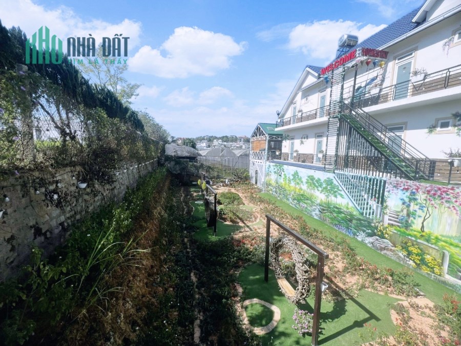 Bán gấp lô biệt lập 326m2 - 8,6 tỷ Ngô Tất Tố, Phường 8, Đà Lạt. Đường ô tô, có view