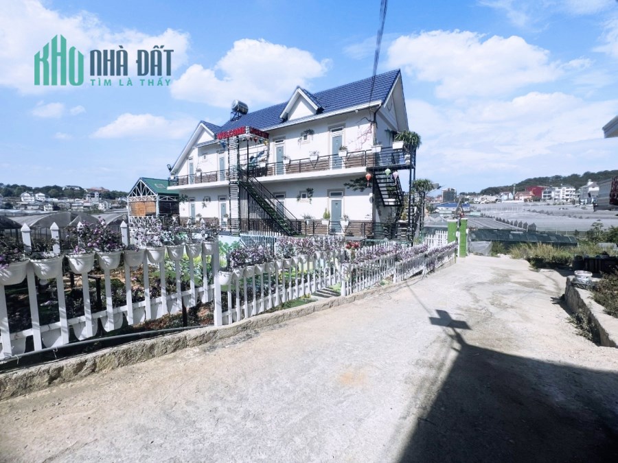 Bán gấp lô biệt lập 326m2 - 8,6 tỷ Ngô Tất Tố, Phường 8, Đà Lạt. Đường ô tô, có view