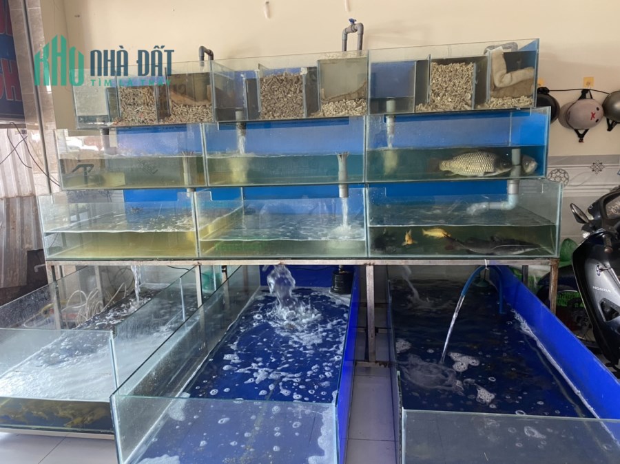 Do có nhu cầu mở nhà hàng nên e cần sang lại vựa hải sản nằm trong chợ thuận giao nhỏ, chợ đông