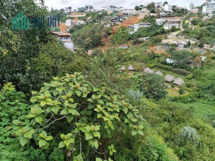 Cho thuê đất giá rẻ tại Phường 10, Thành phố Đà Lạt