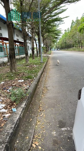 CHO THUÊ 3.500M2 XƯỞNG KCN ĐỒNG AN 2, THỦ DẦU 1,BÌNH DƯƠNG