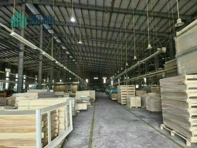 CHO THUÊ 10.000 M2 XƯỞNG TRONG KCN NAM TÂN UYÊN, BÌNH DƯƠNG
