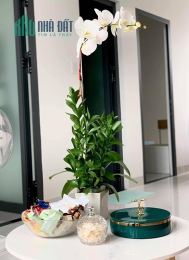 Bán nhà đẹp Vĩnh Ngọc - Nha Trang chỉ 1ty850tr