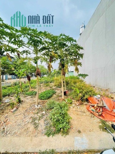 Lô đất Hẻm 55 đường Cây Keo, P. Tam Phú Thủ Đức, dt 128m2 giá 5,5 tỷ