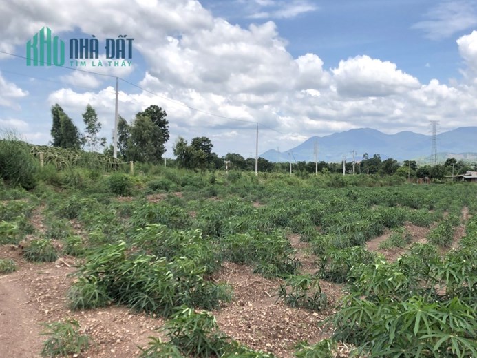 Chính chủ cần tiền bán gấp lô đất Thị trấn Tân Nghĩa, Hàm Tân, giá đầu tư