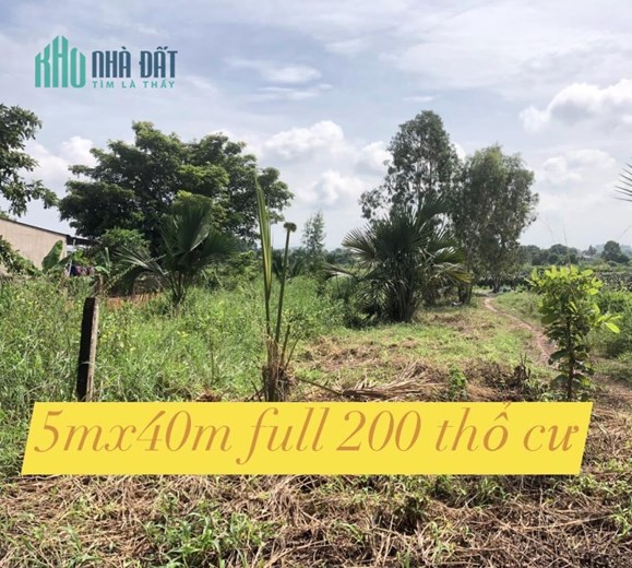 Cần vốn mình ra gấp lô đất 227,5m2 ngay thị trấn Tân Nghĩa, Hàm Tân, Bình Thuận