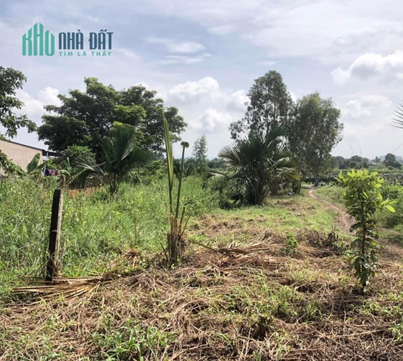 Cần vốn mình ra gấp lô đất 227,5m2 ngay thị trấn Tân Nghĩa, Hàm Tân, Bình Thuận