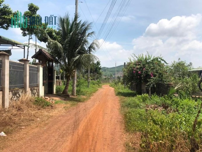Cần vốn mình ra gấp lô đất 227,5m2 ngay thị trấn Tân Nghĩa, Hàm Tân, Bình Thuận