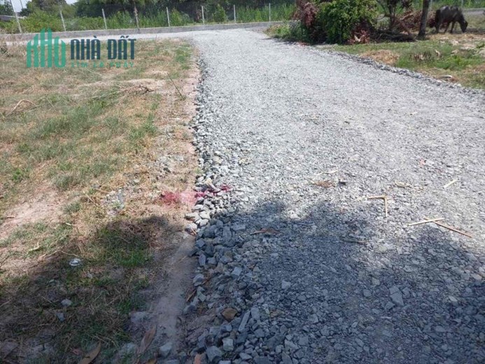 Chính chủ bán đất vị trí đẹp gần đường Cầu Sao, Gò Dầu, Tây Ninh